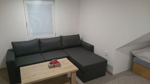 a living room with a black couch and a table at Pension Harcovna in Frýdlant nad Ostravicí