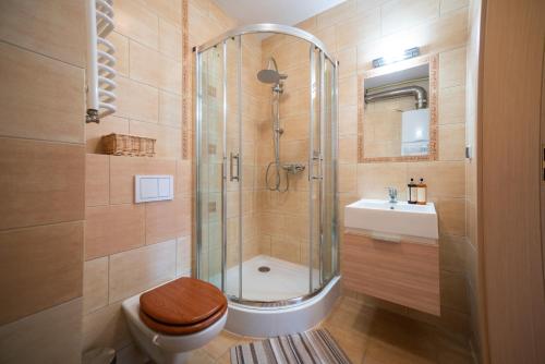 a bathroom with a shower and a toilet and a sink at RentPlanet - Apartamenty Mickiewicza in Szklarska Poręba