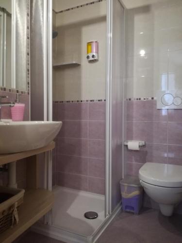 a bathroom with a shower and a sink and a toilet at B&B El Molin in Cavalese