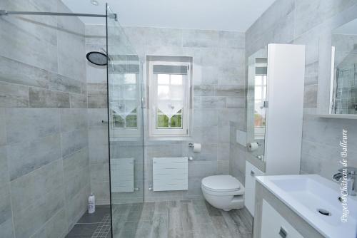 W łazience znajduje się prysznic, toaleta i umywalka. w obiekcie Chateau de Balleure w mieście Étrigny