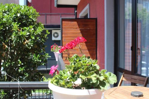 a patio with a table and a potted plant at Alliance Hotel in Tbilisi City