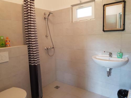 a bathroom with a sink and a toilet and a shower at ARTEMISFARM APARTMENT 3 in Bad Blumau