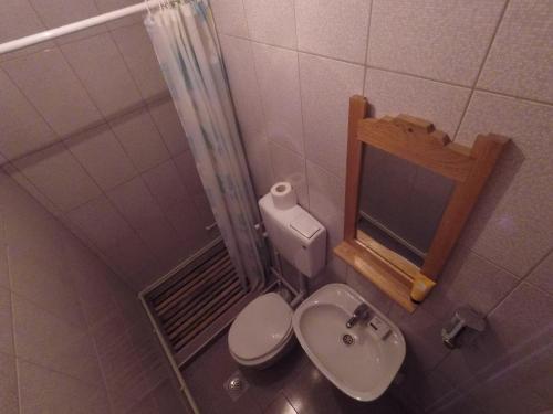 y baño con aseo, lavabo y ducha. en Etno kutak Prijepolje en Prijepolje