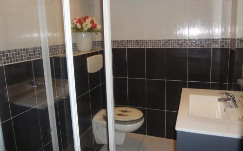 une salle de bain avec toilettes et lavabo dans l'établissement Parenthèse en bord de mer, Vue imprenable sur l'infini bleu, au Grau-dʼAgde