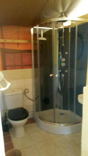 une salle de bain avec douche et toilettes dans l'établissement Acacia, à Mazan