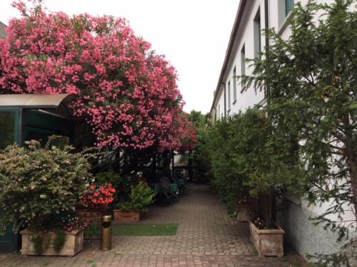 a walkway with pink flowers and plants in a building at Hotel Il Granaio in Porto Mantovano