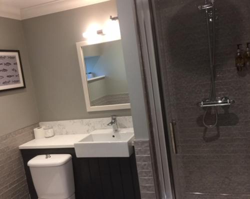 a bathroom with a toilet and a sink and a shower at The Swan Inn in Nantwich