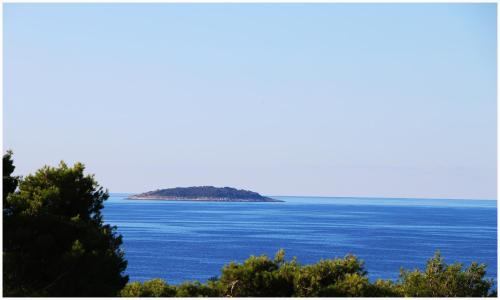 Φυσικό τοπίο κοντά σε αυτό το διαμέρισμα