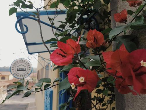 a bunch of red flowers on the side of a building at Studio Ana Laura in São Paulo