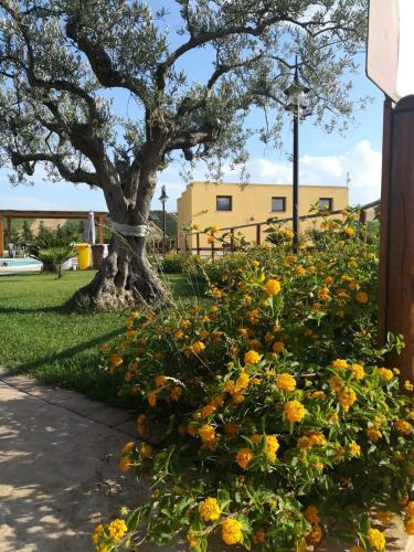 a flowering bush with yellow flowers in front of a tree at Agriturismo l'Olivo in Calatafimi