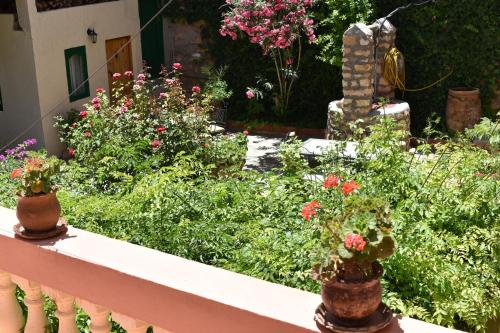 Un jardín fuera de Palmeraie Guest House