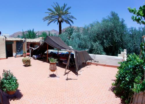 Un jardín fuera de Palmeraie Guest House
