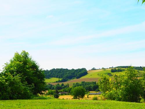 a green hillside with trees and a green field at La Belle Verte in Grignols Dordogne