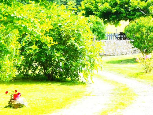 a toy duck in the grass next to a dirt road at La Belle Verte in Grignols Dordogne