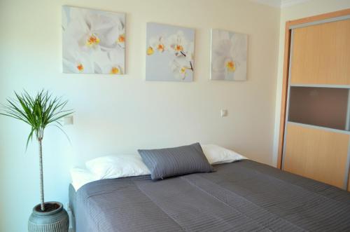 ラゴスにあるMarina Beach Apartmentのベッドルーム1室(ベッド1台付)が備わります。壁に3枚の写真が飾られています。