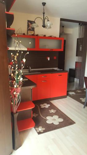 a kitchen with red cabinets and a vase with flowers at Hotel Alegra in Velingrad