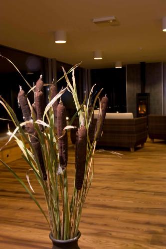 Imagen de la galería de Johan Design & SPA Hotel, en Kuressaare
