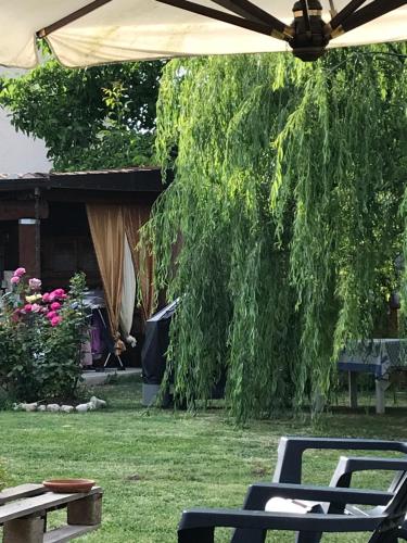 a patio with chairs and an umbrella in a yard at Casa Gavenniae in Nocciano