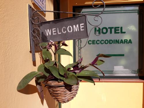 Gallery image of Cecco di Nara in Massarosa