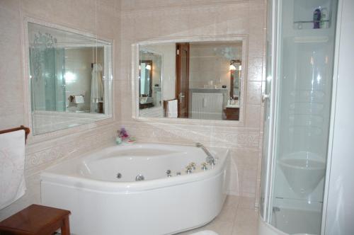 a bathroom with a tub and a shower and a mirror at Al Vecchio Glicine in Gábria