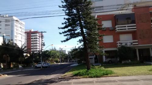a pine tree on the side of a street at Capao Canoa - Próximo Mar Centro in Capão da Canoa