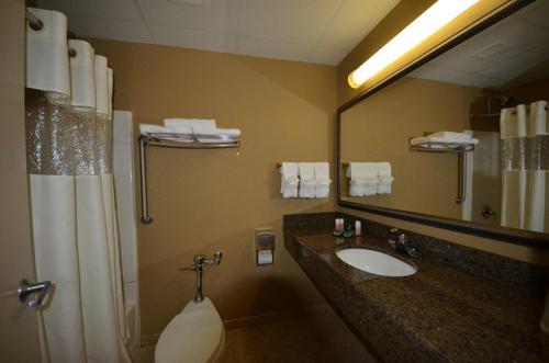 ein Bad mit einem Waschbecken, einem Spiegel und einer Dusche in der Unterkunft Sheridan Hotel in Bronx