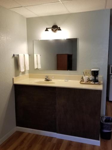 a bathroom counter with a sink and a mirror at Wolds Motel - Mt. Pleasant in Mount Pleasant