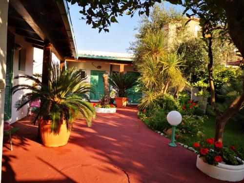 サン・フェリーチェ・チルチェーオにあるLa Locanda di Circeの椰子の木や花の並ぶ庭園