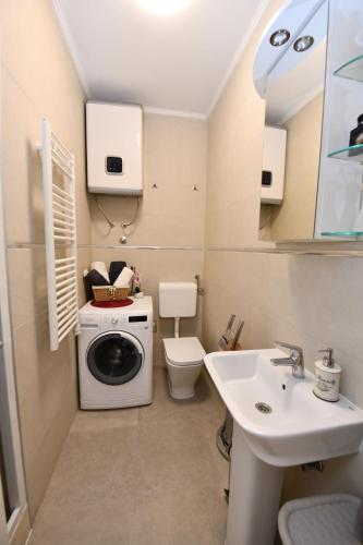 une petite salle de bains avec un lave-linge et un lavabo dans l'établissement Apartment Cecilija, à Sinj