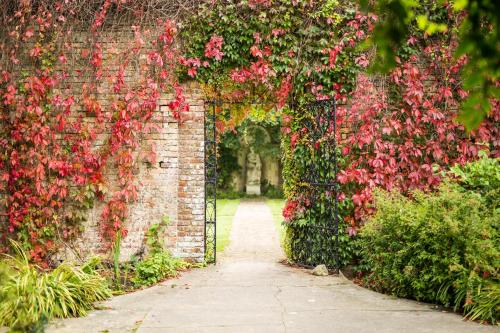 
a stone walled garden with a red and white flower arrangement at Eastwell Manor, Champneys Hotel & Spa in Ashford
