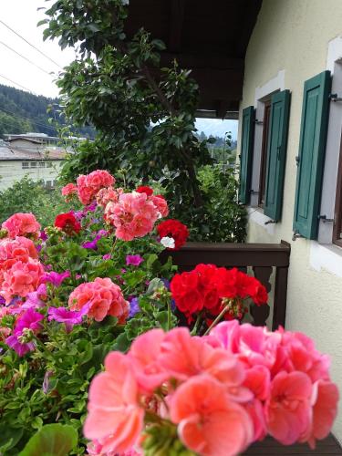 a bunch of red and pink flowers next to a building at Pension Rainhof in Kitzbühel