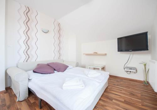 TV a/nebo společenská místnost v ubytování Hotel Garni Pod Skalkou