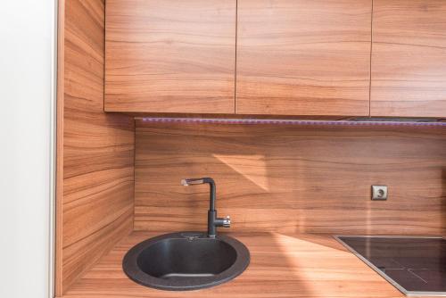 a bathroom with a black sink in a wooden wall at Luxury penthouse in Mandre