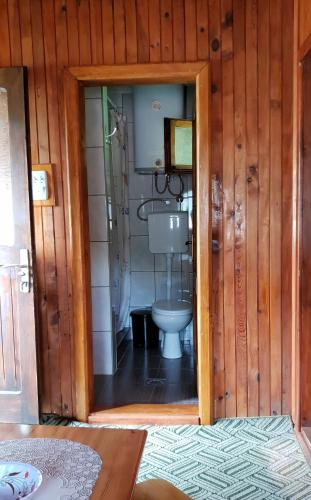 a bathroom with a toilet and a shower in it at Domacinstvo Prentovic in Čajetina