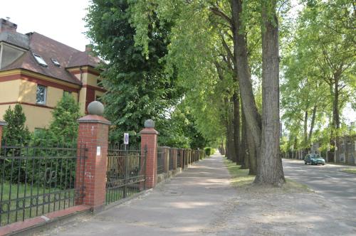 a fence in front of a house with a tree at Apartamenty Centrum Słupsk in Słupsk