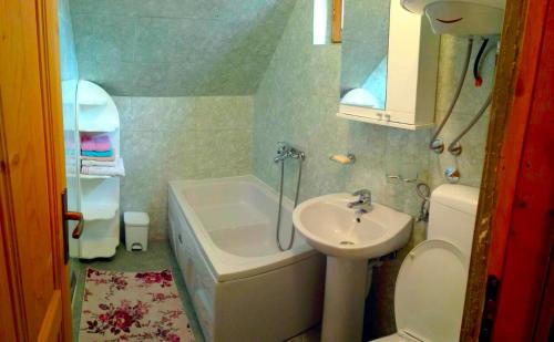 La petite salle de bains est pourvue d'un lavabo et de toilettes. dans l'établissement Sunnyside, à Žabljak