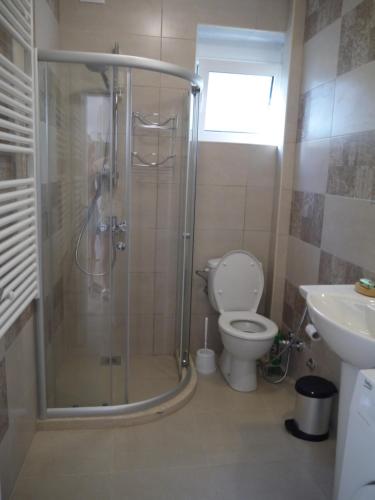 a bathroom with a shower and a toilet and a sink at CrystalSky in Dobra Voda