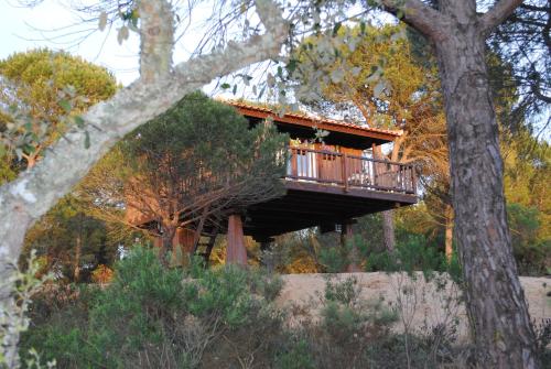 a tree house with a deck in the woods at Ying Yang Monte da Lua in Comporta