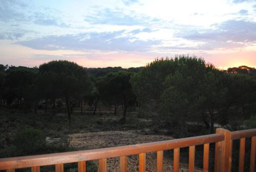 a view of a field with trees and the sunset at Ying Yang Monte da Lua in Comporta