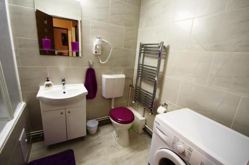 a bathroom with a sink toilet and a washing machine at Sunshine View in Cluj-Napoca