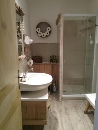 La salle de bains est pourvue d'un lavabo et d'une douche. dans l'établissement Le Petit Fabre, à Montagnac