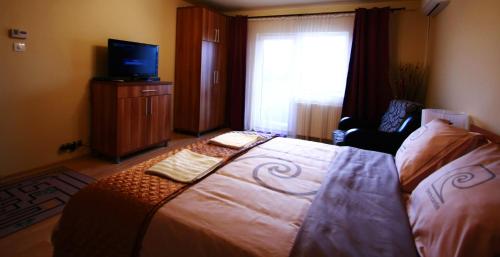 クルジュ・ナポカにあるSunshine Viewのベッドルーム(大型ベッド1台、テレビ付)