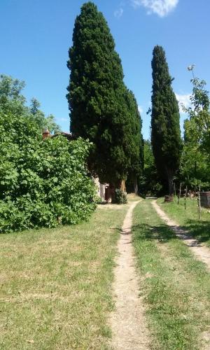 Gallery image of Agriturismo Bosco Fiorito in Muggia