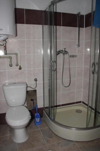 y baño con aseo y ducha acristalada. en Chaty u Toma Slapy en Nalžovice