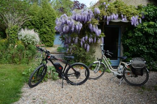 deux vélos garés devant une maison avec des fleurs violettes dans l'établissement Le Jardin Sauvage, à Maintenay
