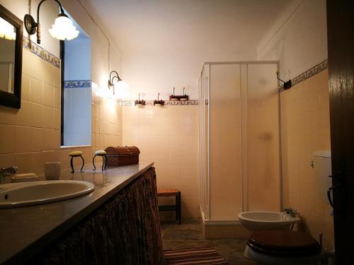 a bathroom with a shower and a sink and a toilet at Monte dos Velhos in Reguengos de Monsaraz