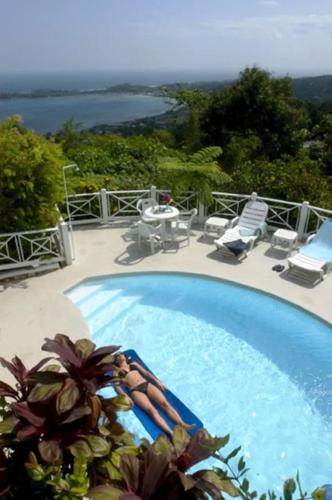 La alberca dentro o cerca de Tranquility Villa