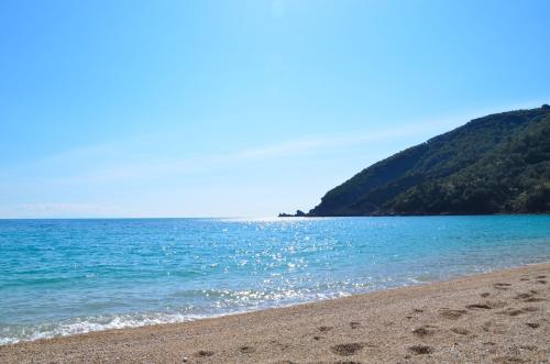 Φυσικό τοπίο κοντά σε αυτό το διαμέρισμα