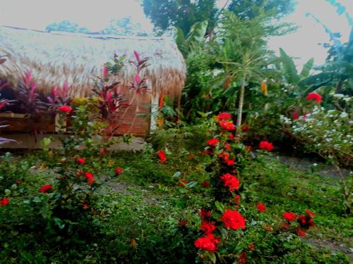 a garden with red flowers in front of a building at Hospedaje Bananas in Altagracia