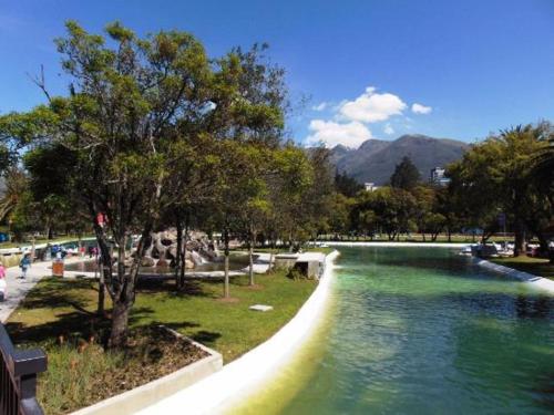 a pool of green water in a park at Suite de Lujo, Piso Alto, junto Parque Carolina, Generador electrico in Quito
